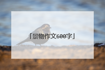 景物作文600字