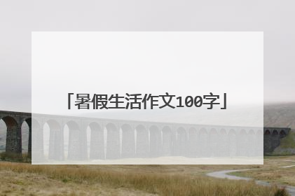 暑假生活作文100字