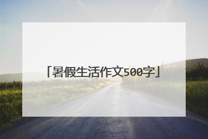 暑假生活作文500字