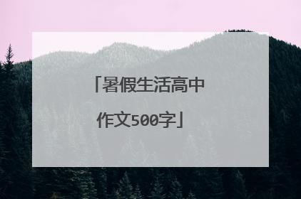 暑假生活高中作文500字