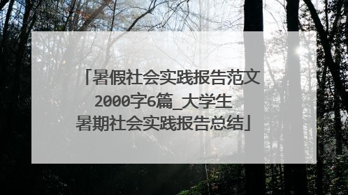 暑假社会实践报告范文2000字6篇_大学生暑期社会实践报告总结