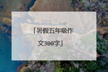 暑假五年级作文300字