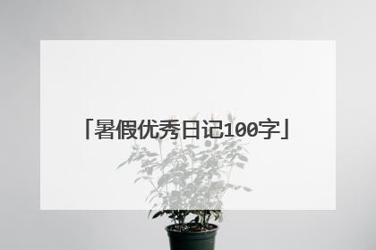 暑假优秀日记100字