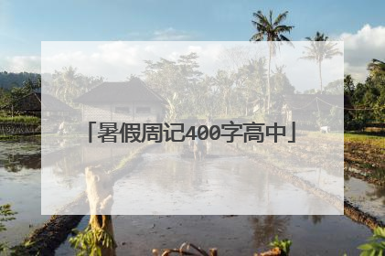 暑假周记400字高中