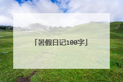 暑假日记100字