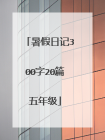 暑假日记300字20篇五年级