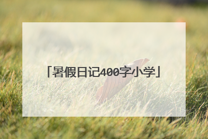 暑假日记400字小学