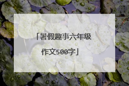 暑假趣事六年级作文500字