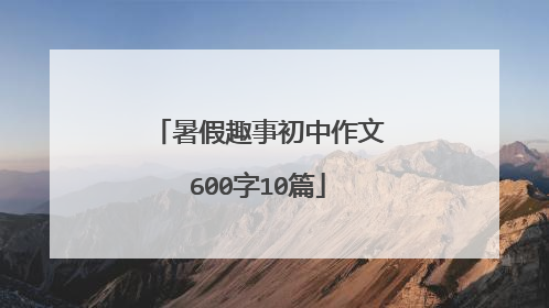 暑假趣事初中作文600字10篇