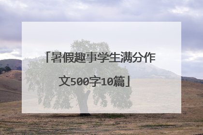 暑假趣事学生满分作文500字10篇