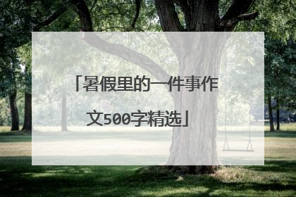 暑假里的一件事作文500字精选