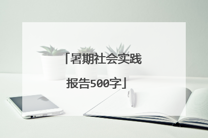 暑期社会实践报告500字