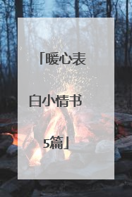 暖心表白小情书5篇