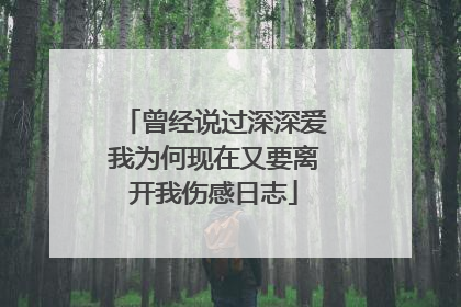 曾经说过深深爱我为何现在又要离开我伤感日志