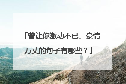 曾让你激动不已、豪情万丈的句子有哪些？