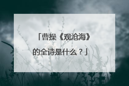 曹操《观沧海》的全诗是什么？