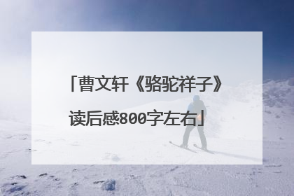 曹文轩《骆驼祥子》读后感800字左右