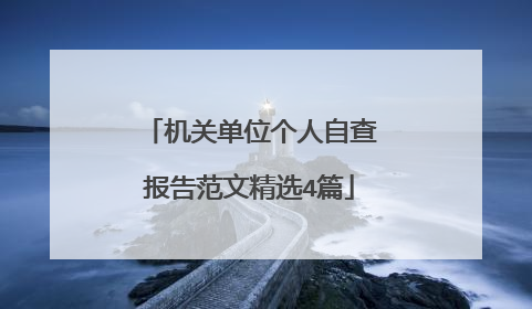 机关单位个人自查报告范文精选4篇