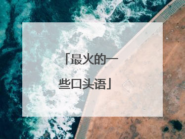 最火的一些口头语