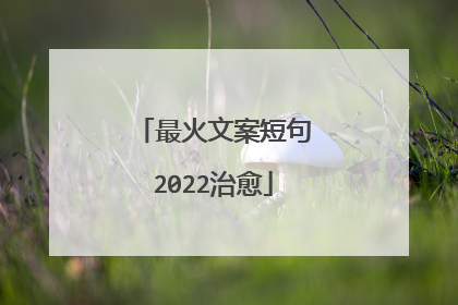 最火文案短句2022治愈