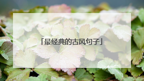 最经典的古风句子