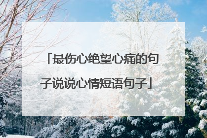 最伤心绝望心痛的句子说说心情短语句子