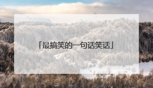 最搞笑的一句话笑话