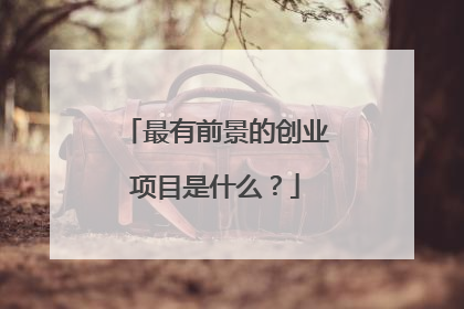 最有前景的创业项目是什么？