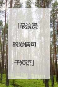 最浪漫的爱情句子短语