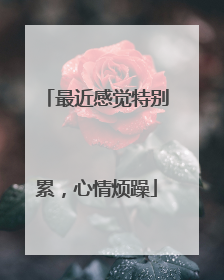 最近感觉特别累,心情烦躁