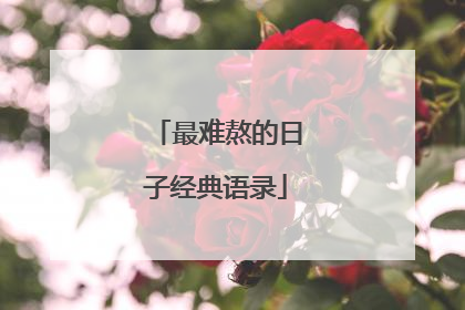 最难熬的日子经典语录