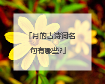 月的古诗词名句有哪些?