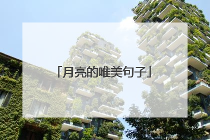 月亮的唯美句子