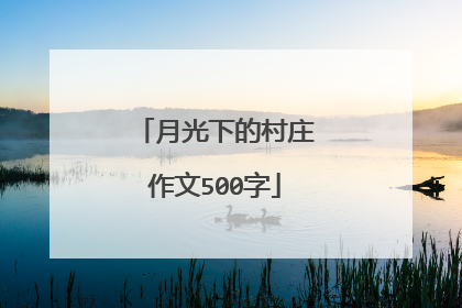 月光下的村庄作文500字