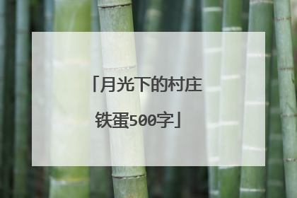 月光下的村庄铁蛋500字