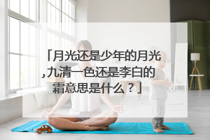 月光还是少年的月光,九清一色还是李白的霜意思是什么？