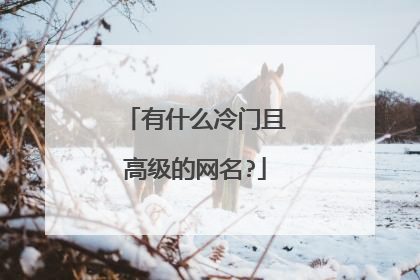 有什么冷门且高级的网名?