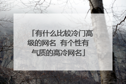 有什么比较冷门高级的网名 有个性有气质的高冷网名