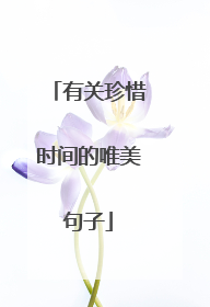 有关珍惜时间的唯美句子