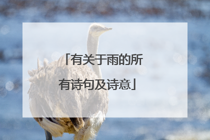 有关于雨的所有诗句及诗意