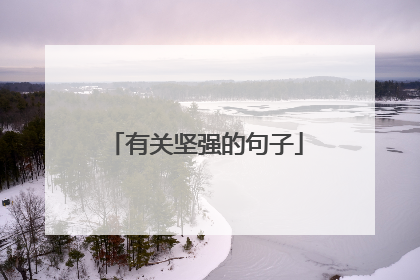 有关坚强的句子
