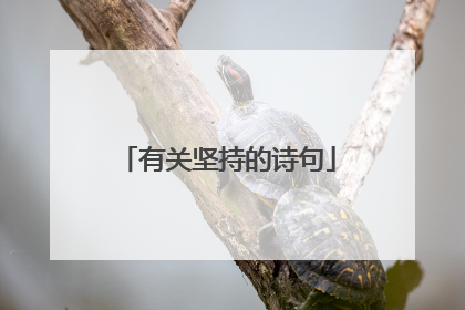 有关坚持的诗句