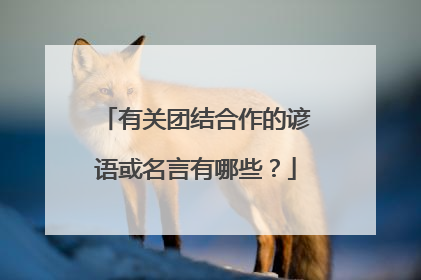 有关团结合作的谚语或名言有哪些？