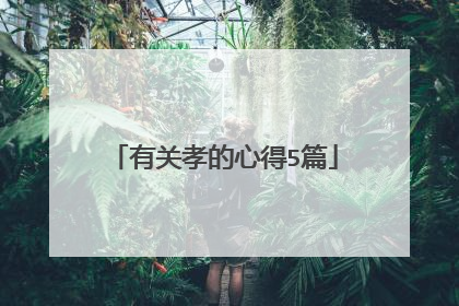 有关孝的心得5篇