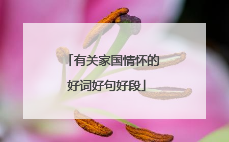 有关家国情怀的好词好句好段