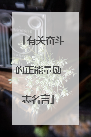 有关奋斗的正能量励志名言