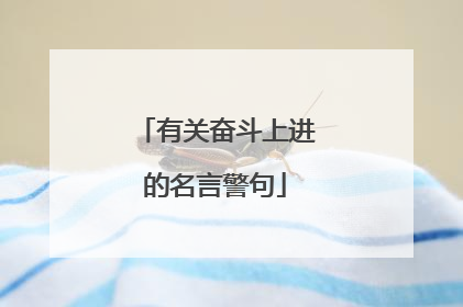 有关奋斗上进的名言警句