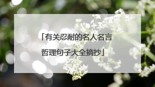 有关忍耐的名人名言哲理句子大全摘抄