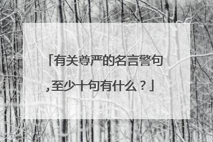 有关尊严的名言警句,至少十句有什么？