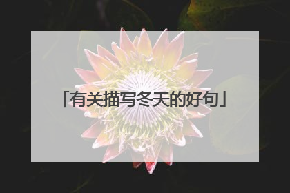 有关描写冬天的好句